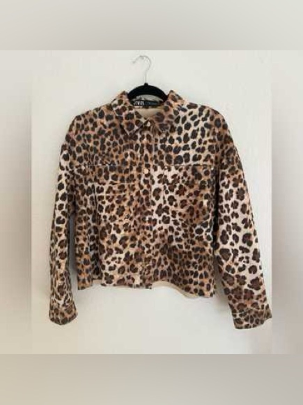 Zara Leopard Print Jacket